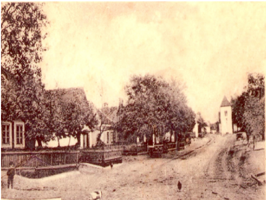 Náves