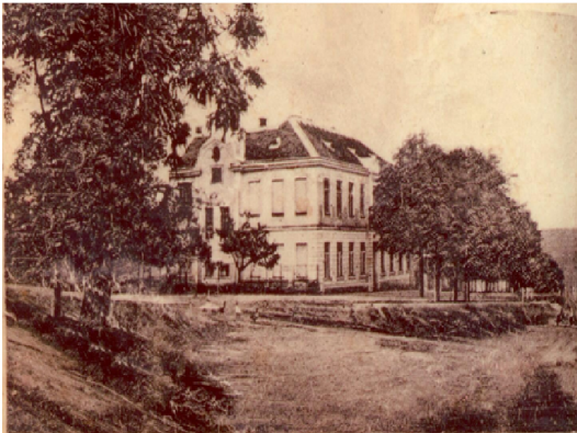 škola